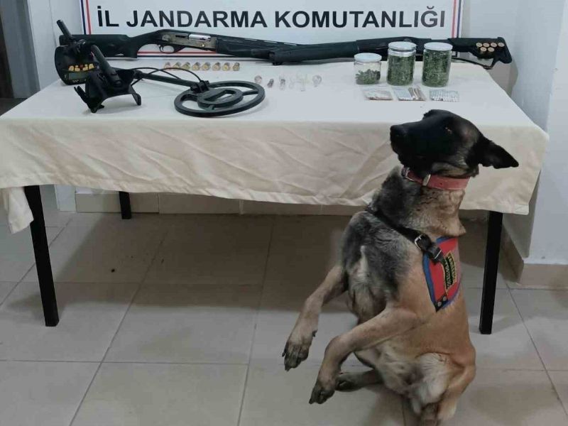 Bilecik'te Uyuşturucu Operasyonlarına Aktif Katılım Yapan Köpek 'Yelken'!