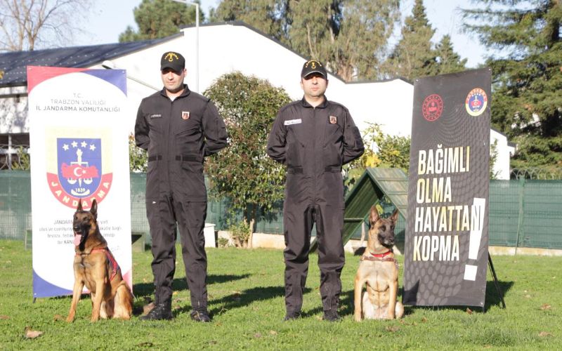 Trabzon İl Jandarma Komutanlığı'ndaki Narkotik Köpekleri Uyuşturucu Satıcılarının Kabusu Oldu