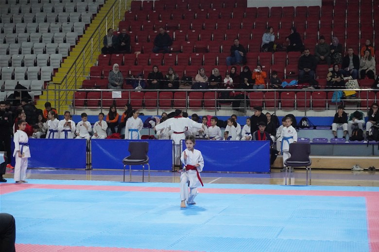 Afyonkarahisar'da düzenlenen Okul Sporları Karate Müsabakaları'nın birincileri belirlendi.