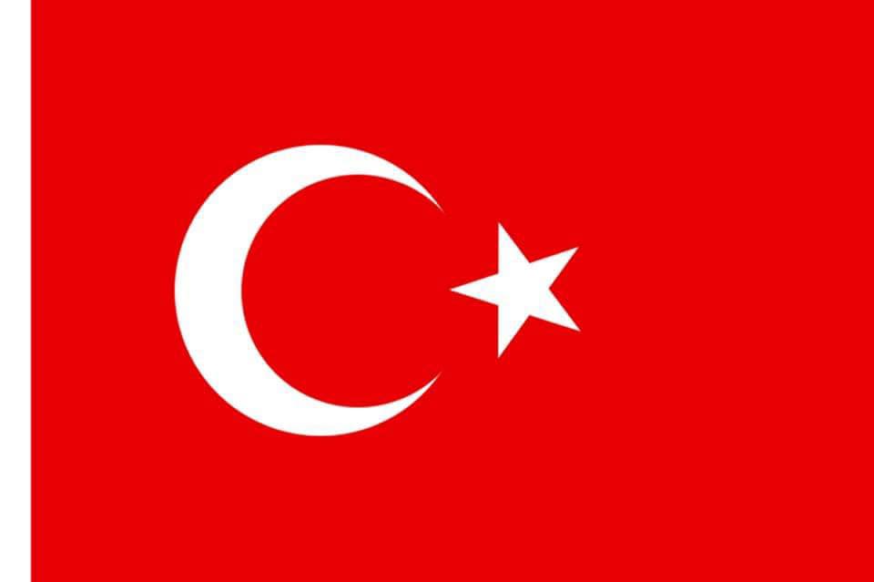 Marmaris'te şehit düşen Astsubay Bahadır CANBULAT için Eskişehir MHP'den duygusal başsağlığı mesajı!