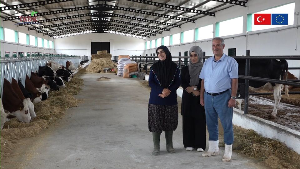 Afyonkarahisarlı Yatırımcının Aile Çiftliği, Süt Üretiminde Fark Yaratıyor