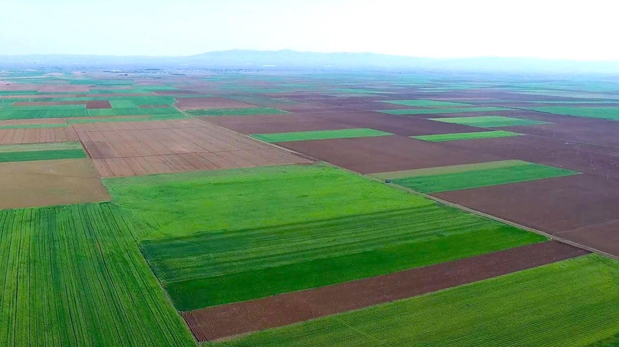 Eskişehir'de kömürlü termik santral projesi hukuka aykırı bulundu