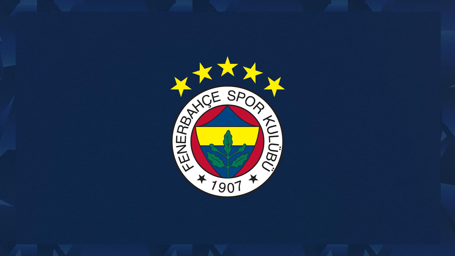Fenerbahçe'den Milli Yüzücülere Destek Mesajı