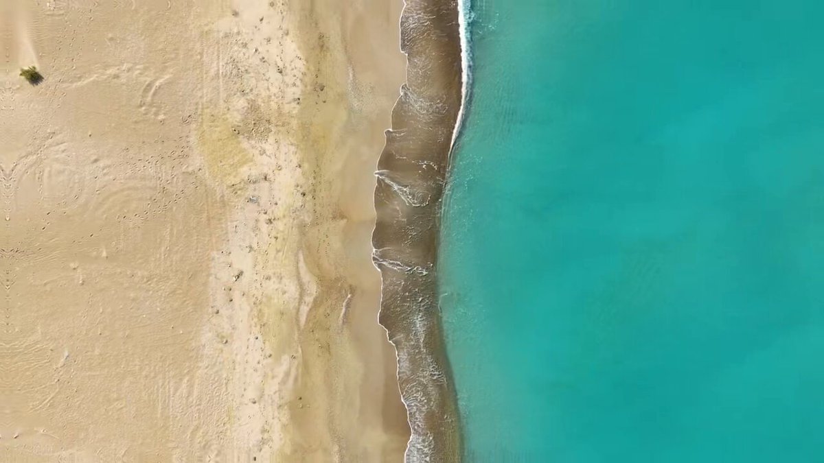 Akdeniz’in minik sakinleri güvenle doğaya bırakıldı