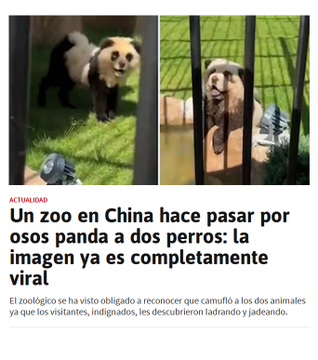 Polémica en el zoológico por el pollo volador