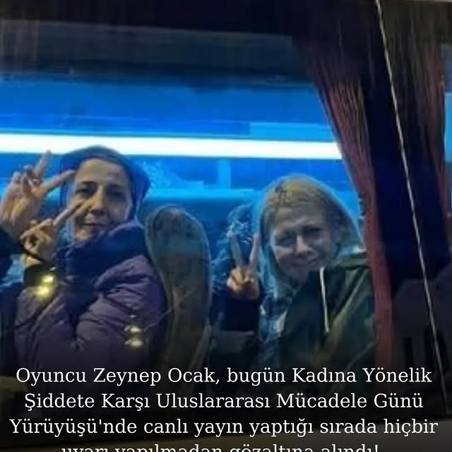 Kadına Yönelik Şiddete Karşı Uluslararası Mücadele Günü'nde Gözaltına Alınan Zeynep Ocak ve Kadın Aktivistler