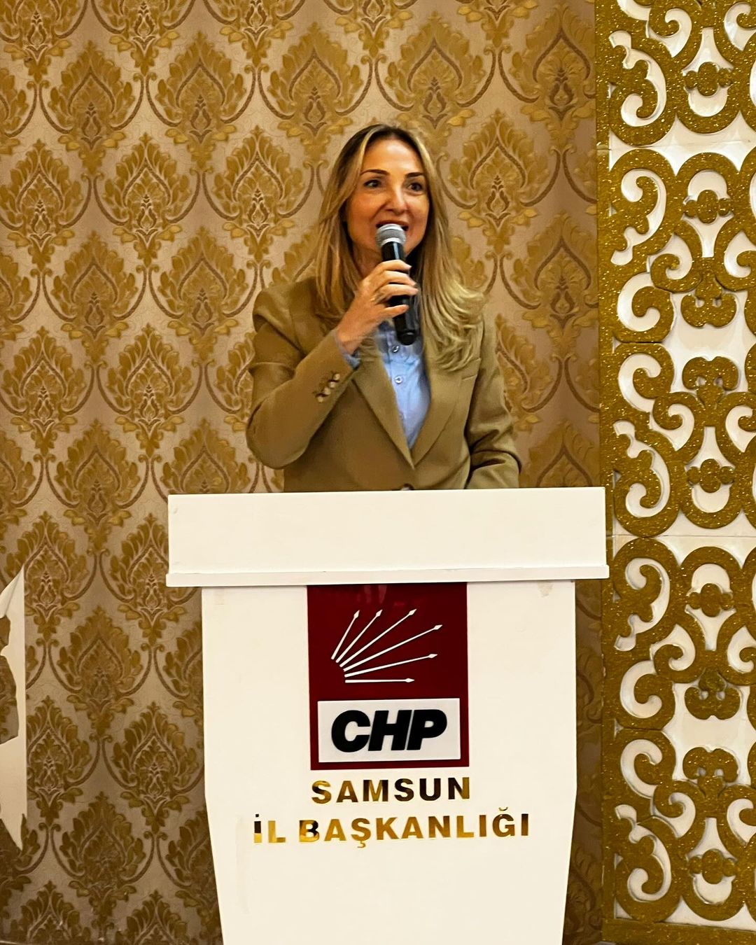 CHP Kadın Kolları Genel Başkanı Aylin Nazlıaka'dan Türkiye'nin Ekonomik ve Sosyal Durumuna İlişkin Eleştiri