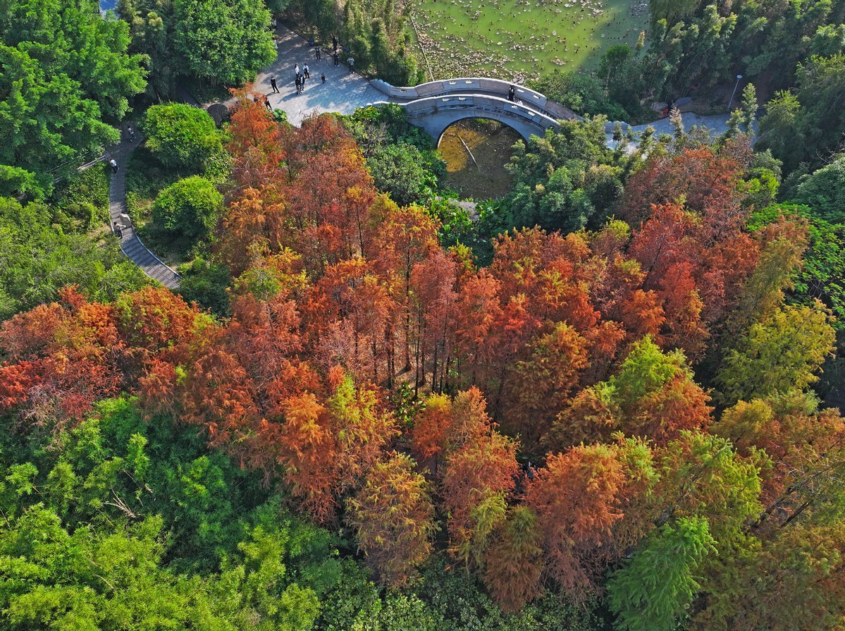 Güney Çin'de Doğada Muhteşem Renk Geçişleri