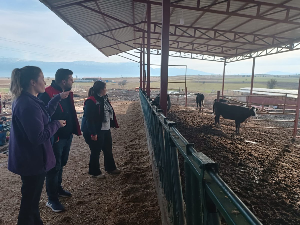 Dazkırı İlçe Tarım ve Orman Müdürlüğü İthal Hayvan Yetiştiriciliği İşletmelerini Denetleyecek