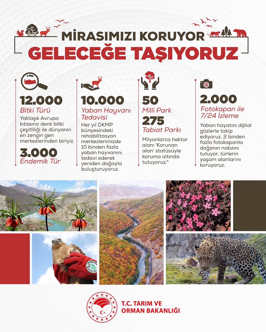 ???? Eşsiz Doğamızı Koruma Kararlılığı: 22 Mayıs Dünya Biyolojik Çeşitlilik Günü