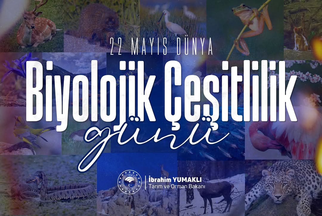 Anadolu'nun Biyolojik Çeşitliliği: Doğanın Eşsiz Dengesi