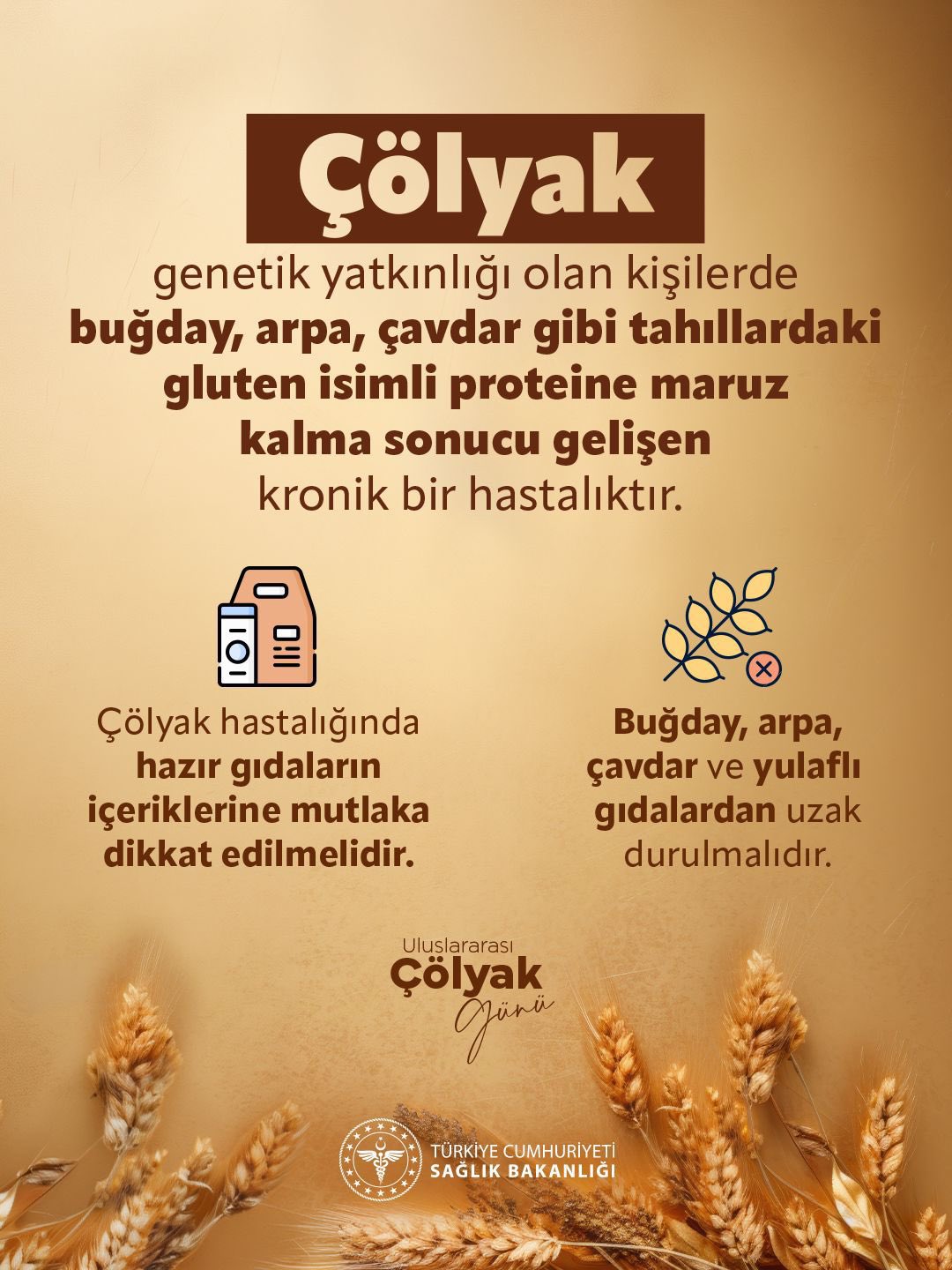 Çölyak Hastalığı ve Gluten İlişkisi