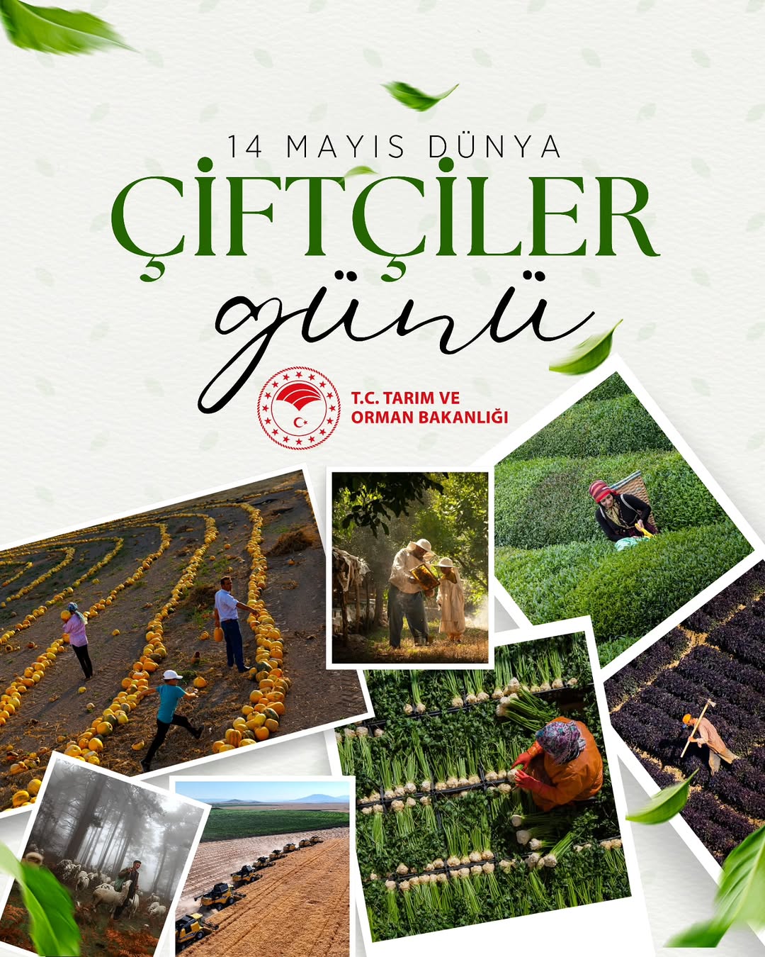 Dünya Çiftçiler Günü Kutlu Olsun - Toprağa Can Veren Çiftçilerimiz Unutulmuyor
