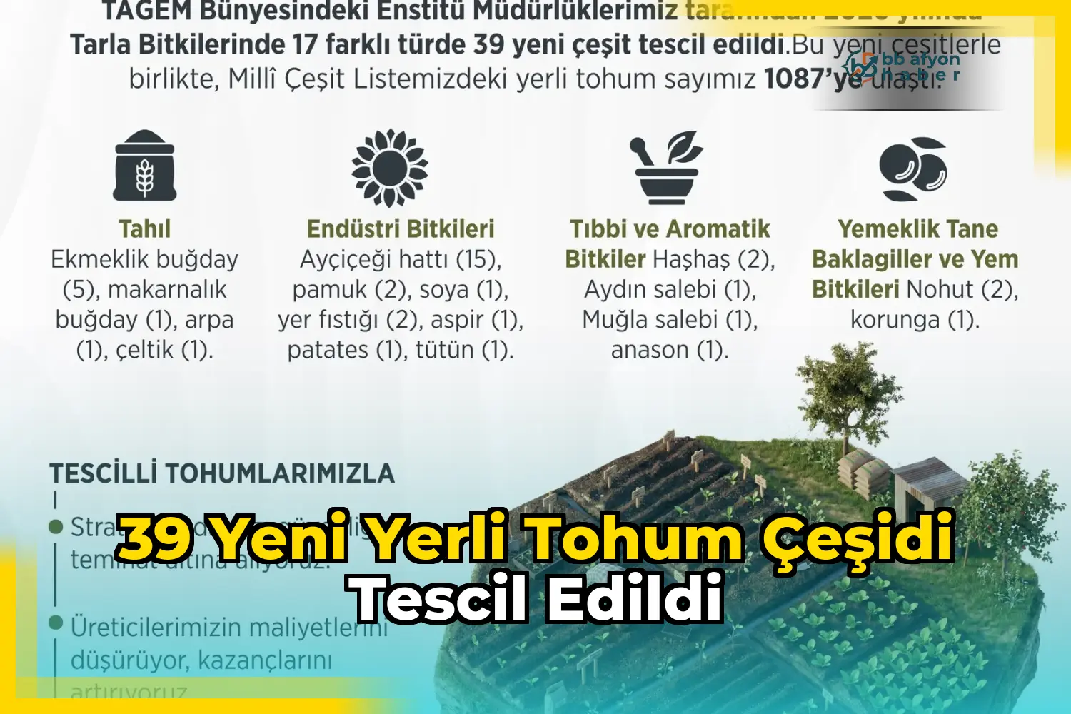 39 yeni yerli tohum çeşidi tescil edildi