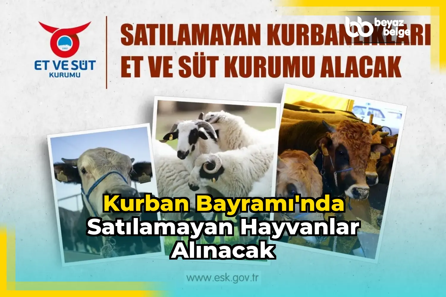 Kurban Bayramı'nda satılamayan hayvanlar alınacak