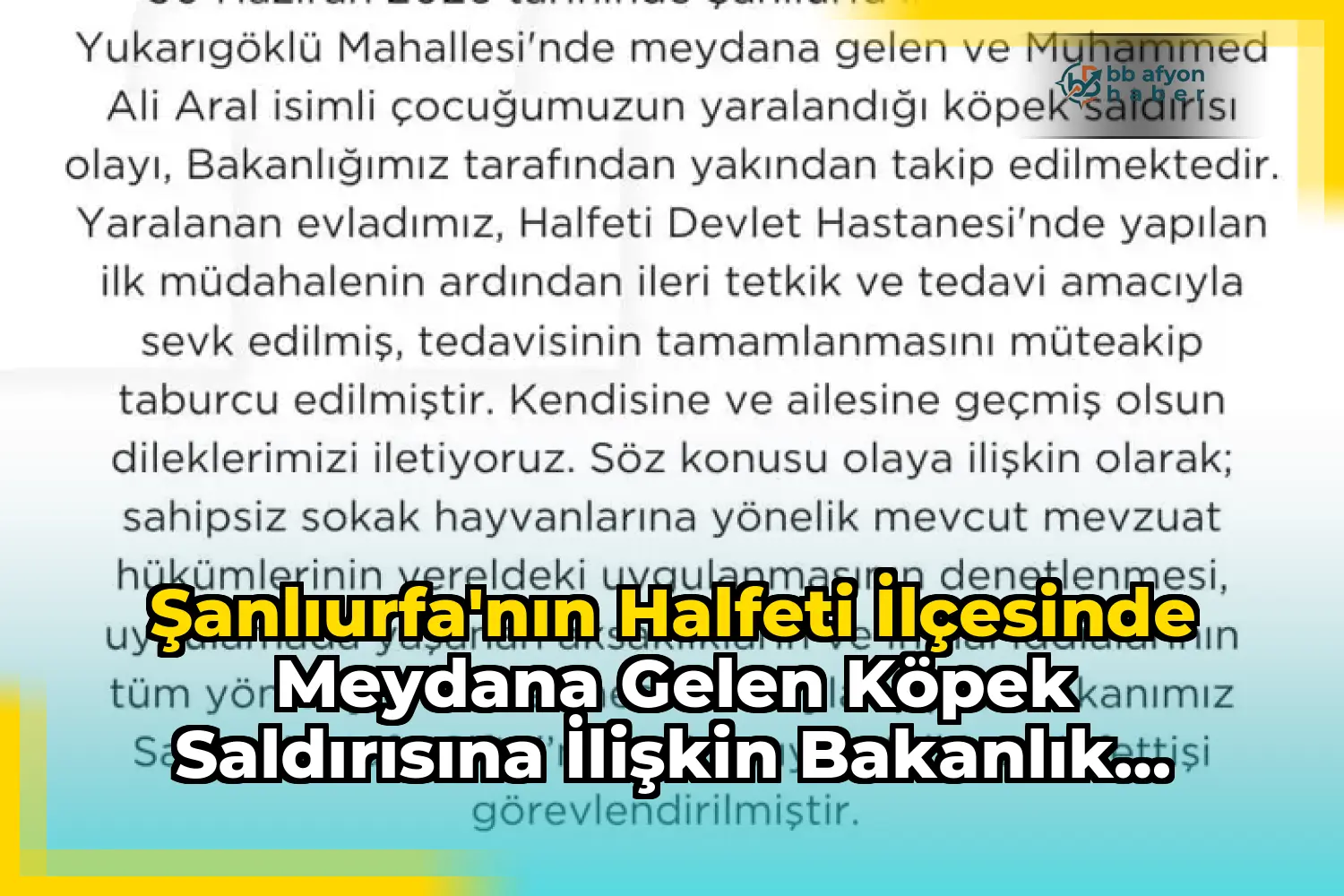 Şanlıurfa'nın Halfeti İlçesinde Meydana Gelen Köpek Saldırısına İlişkin Bakanlık Açıklaması