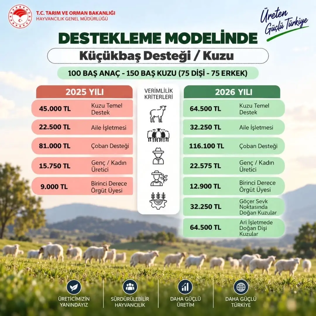 Küçükbaş Hayvancılığa Destek Veren Afyonkarahisar İl Tarım ve Orman Müdürlüğü