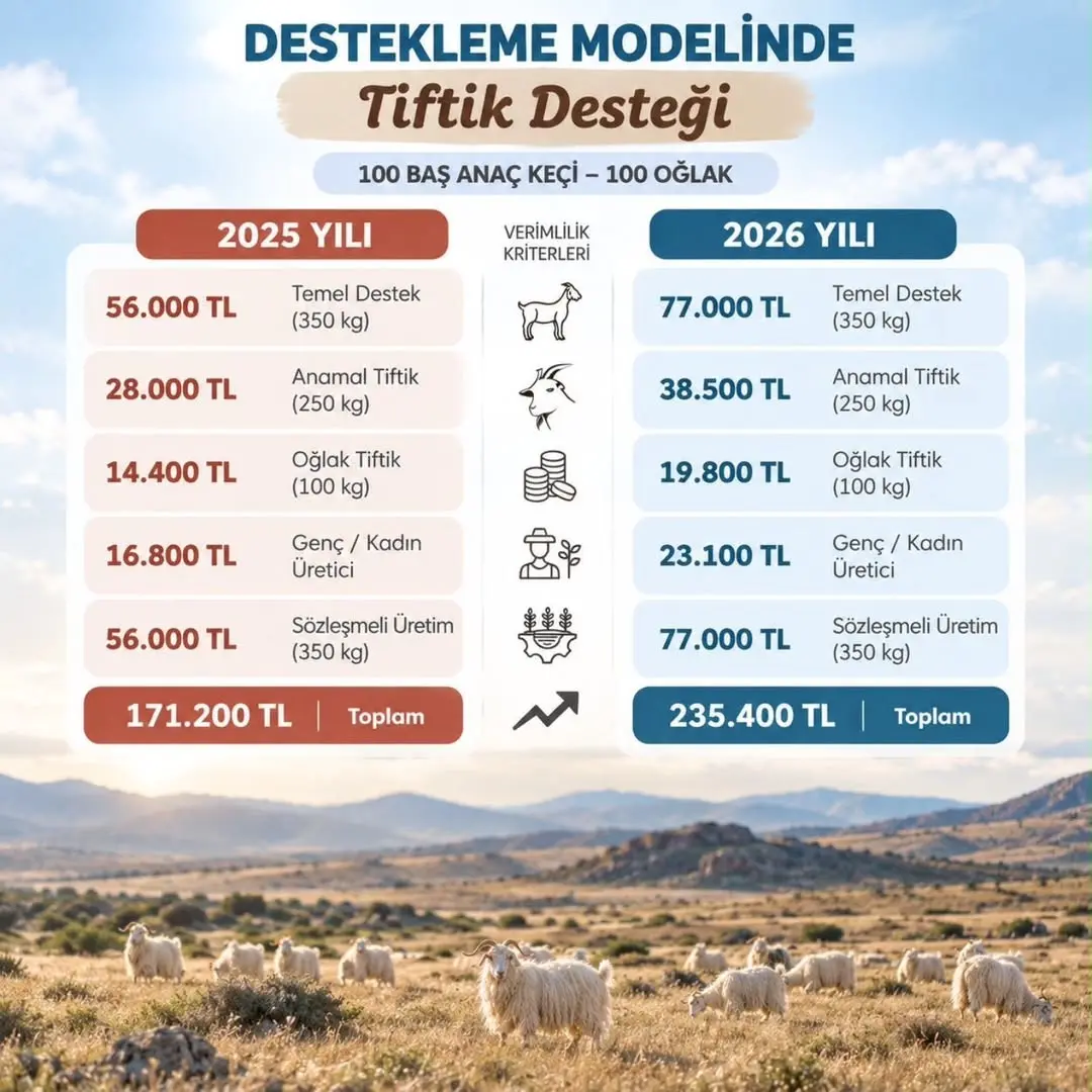 Tiftik Üretimine Destek: Kırsala Değer Kazandırılıyor
