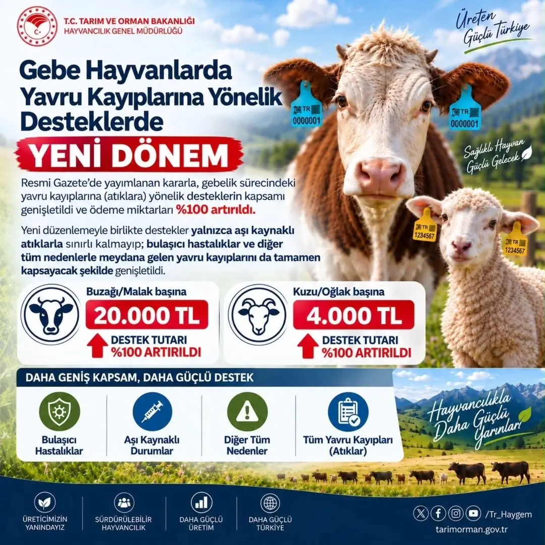 Yavru Hayvan Kayıplarına Karşı Geniş Kapsamlı Destekler